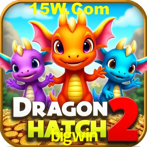 Exclusive Offers bigwin