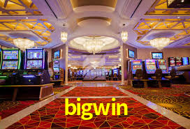 Bonus Features bigwin