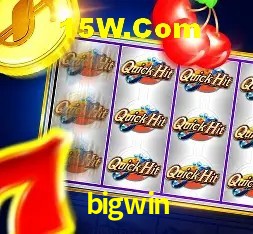 Experimente o Login Seguro Premium no bigwin