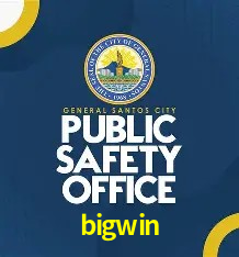 Provedores de Jogos bigwin